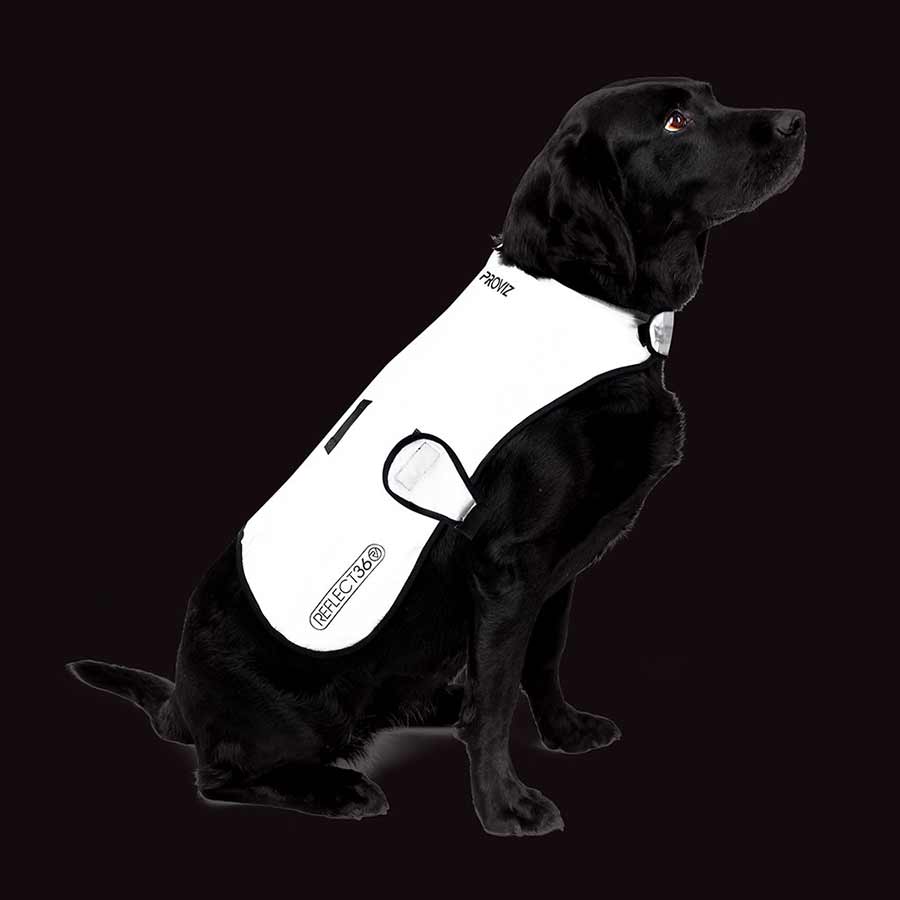 Proviz, Dog Cover, Silver, S