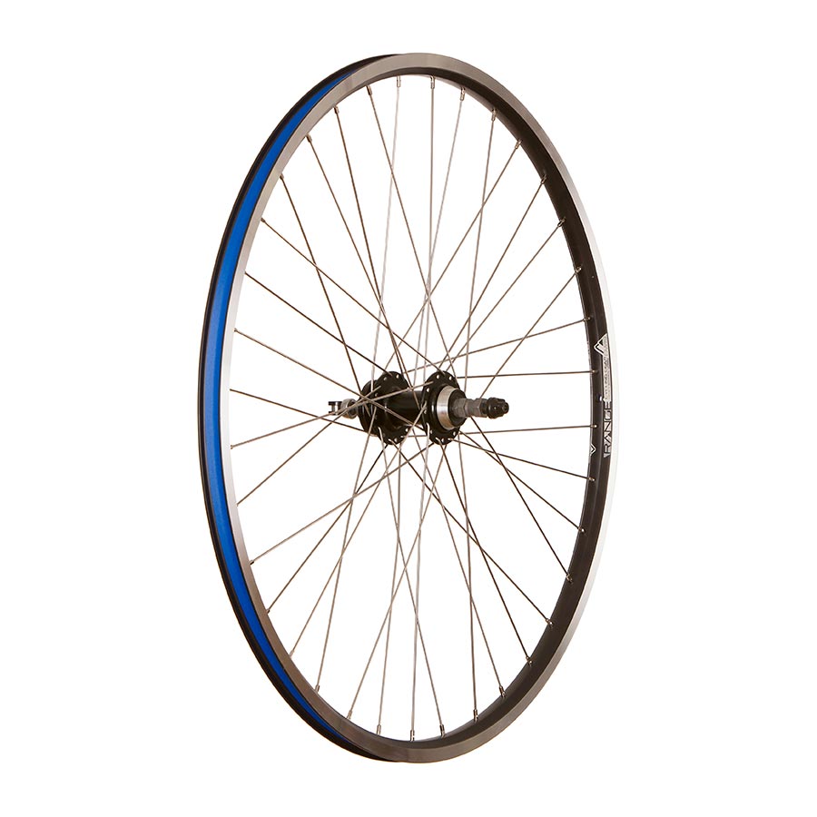 RCG, DW19-700, Wheel, Rear, 700C / 622, Holes: 36, QR, 135mm, Rim and Disc IS 6-bolt, Freewheel