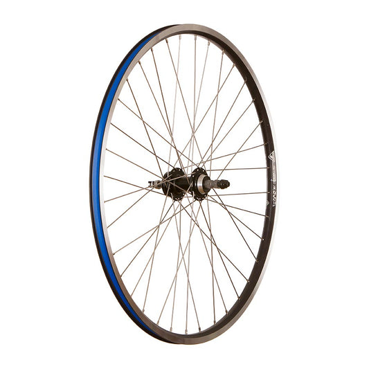 RCG, DW19-700, Wheel, Rear, 700C / 622, Holes: 36, QR, 135mm, Rim and Disc IS 6-bolt, Freewheel
