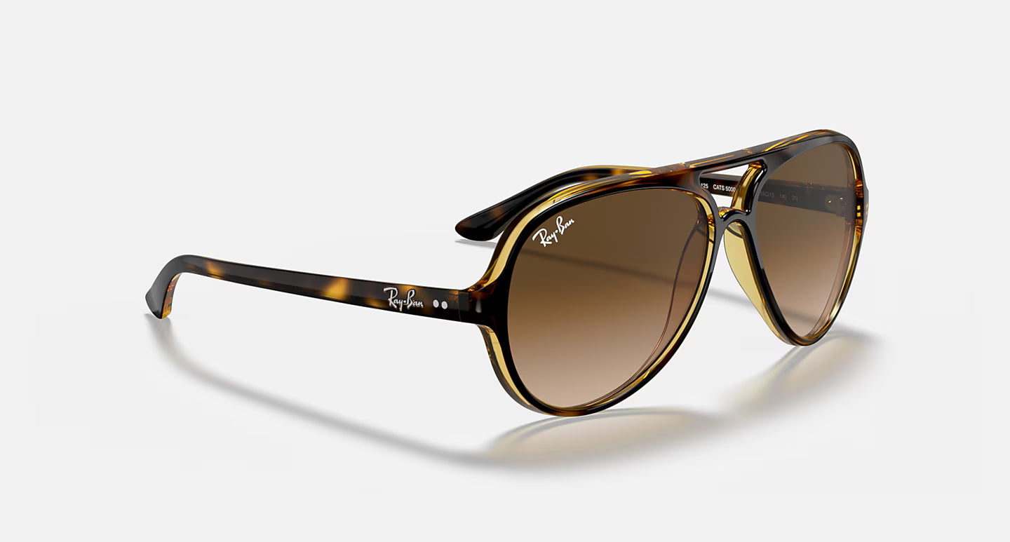 Ray-Ban Erika Cats 5000
