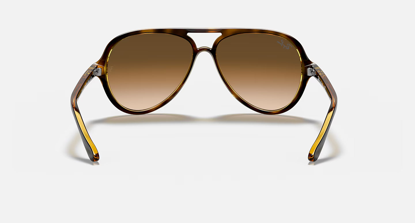 Ray-Ban Erika Cats 5000