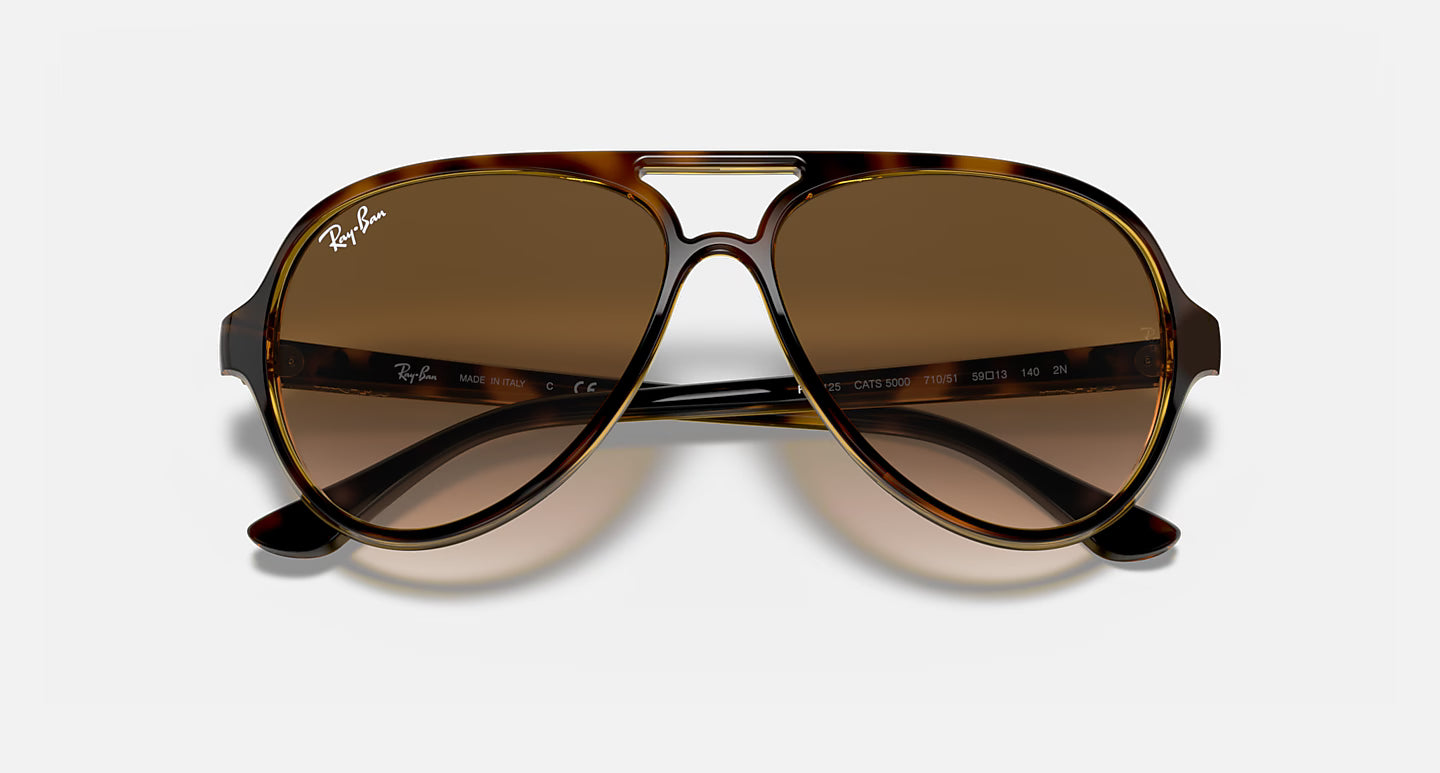 Ray-Ban Erika Cats 5000