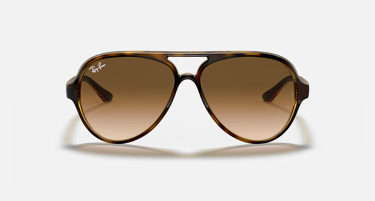 Ray-Ban Erika Cats 5000