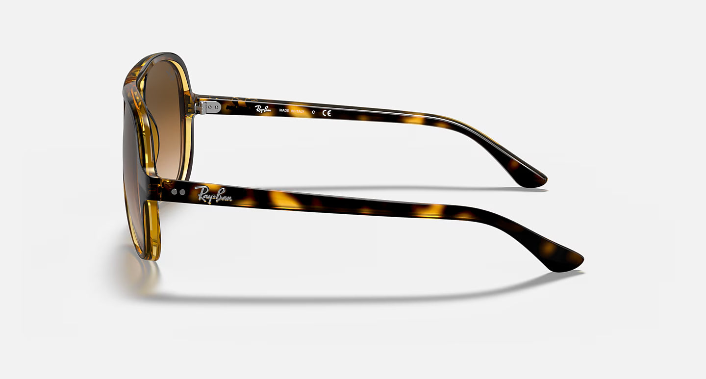 Ray-Ban Erika Cats 5000