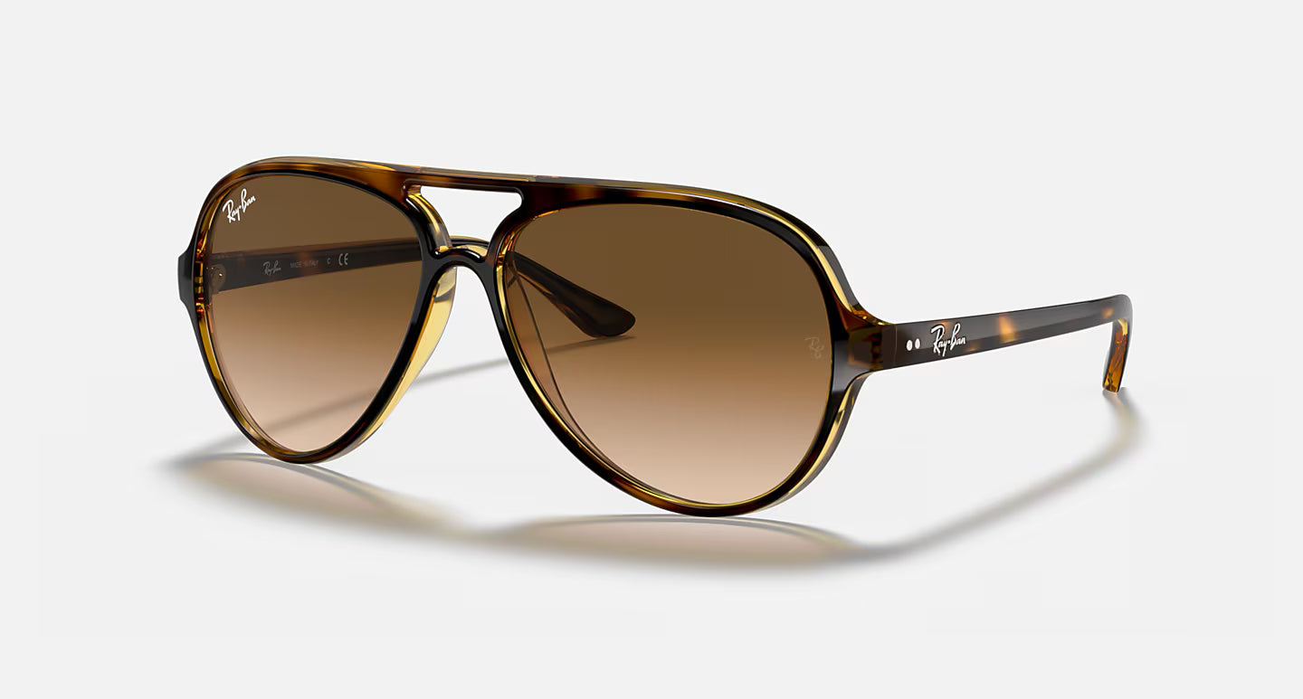 Ray-Ban Erika Cats 5000