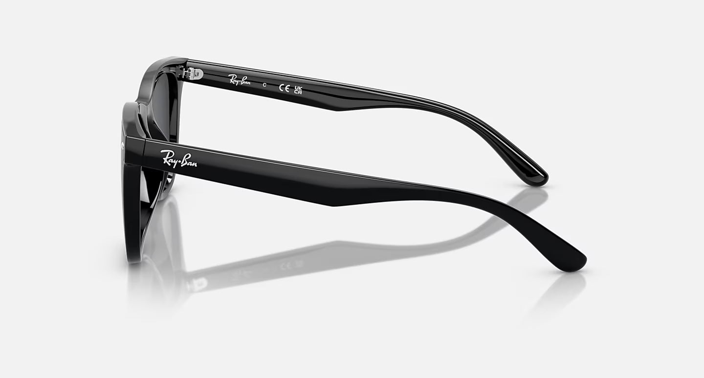 Ray-Ban RB4420