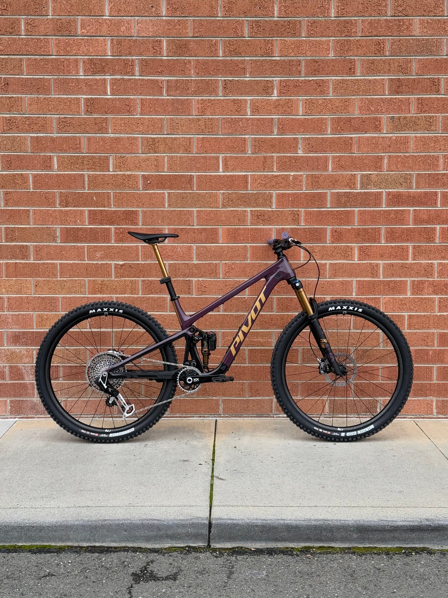 Demo Bikes