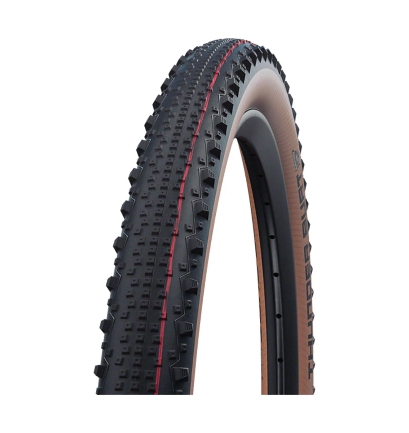 Schwalbe Thunder Burt