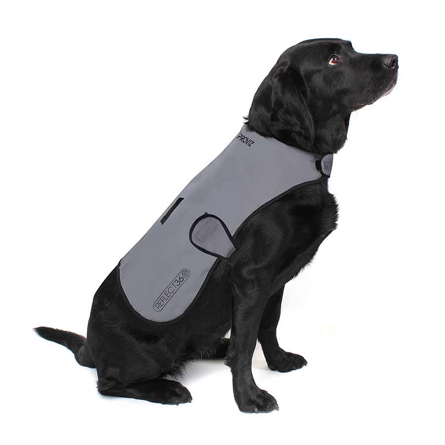 Proviz, Dog Cover, Silver, S