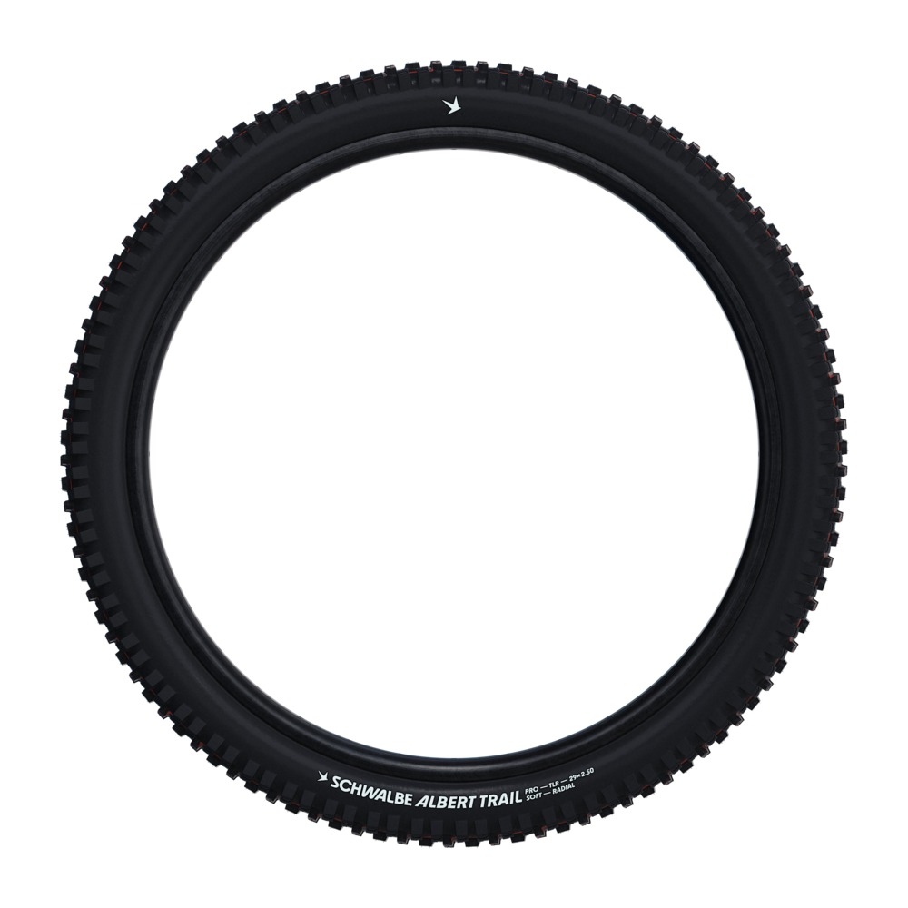Schwalbe Albert Bicycle Tire