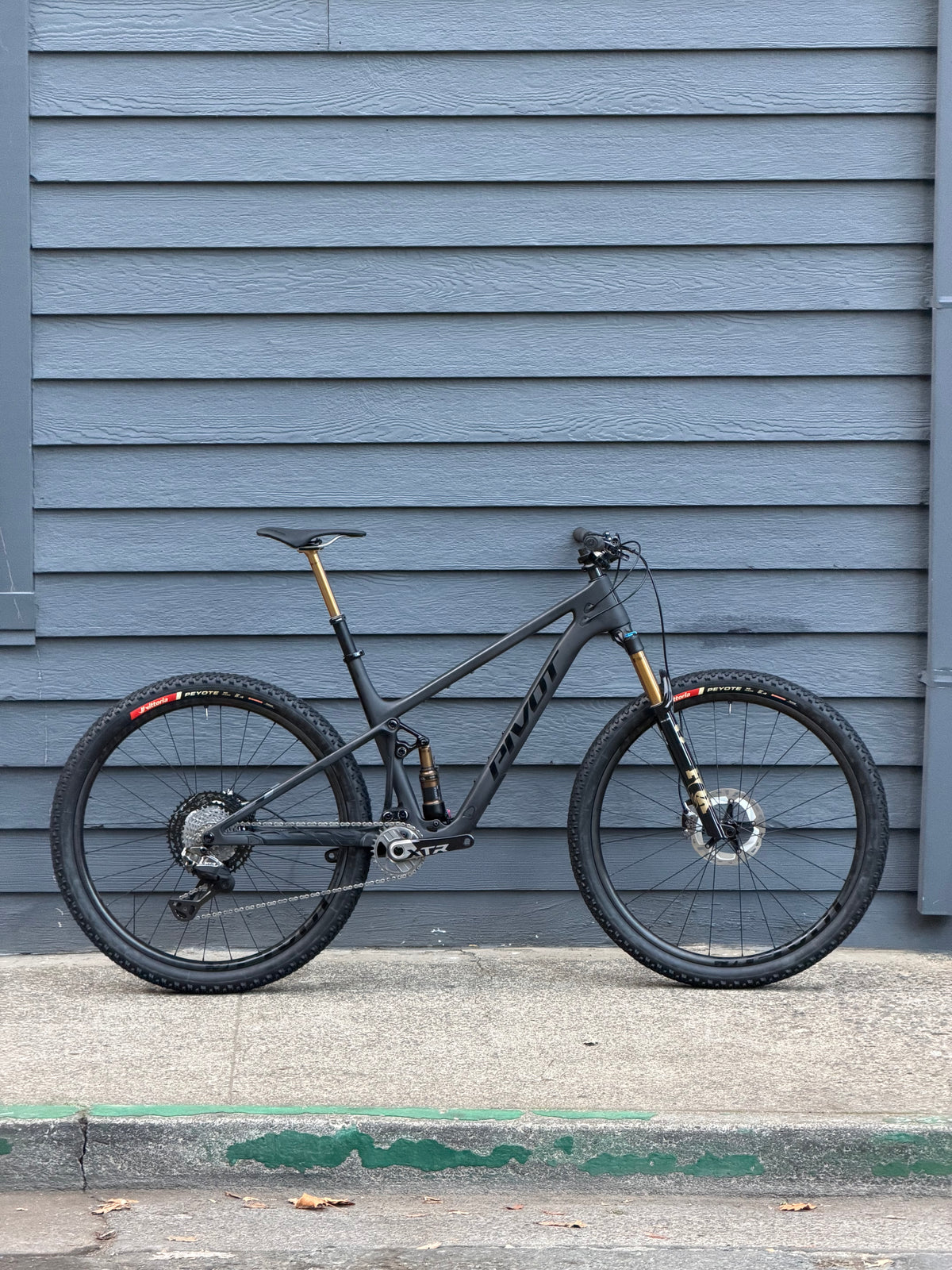 Pivot Mach 4 SL - Large - XTR Di2