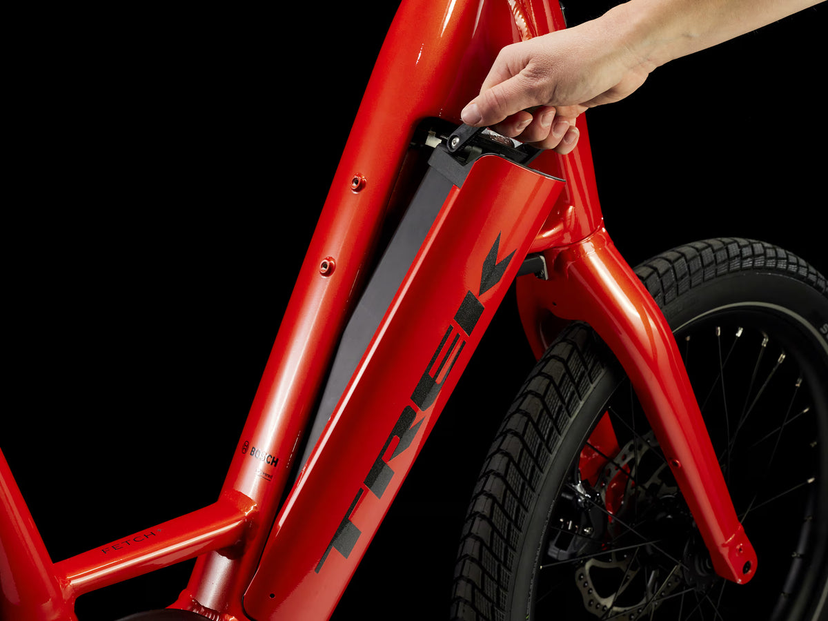 Trek Bikes Fetch+ 2