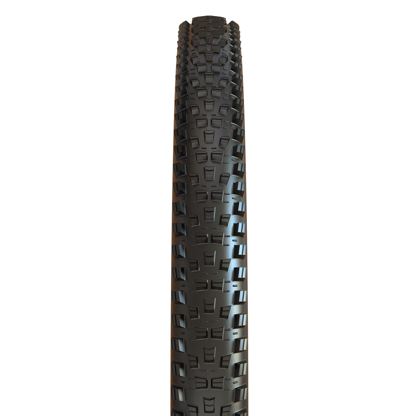 Maxxis Forekaster