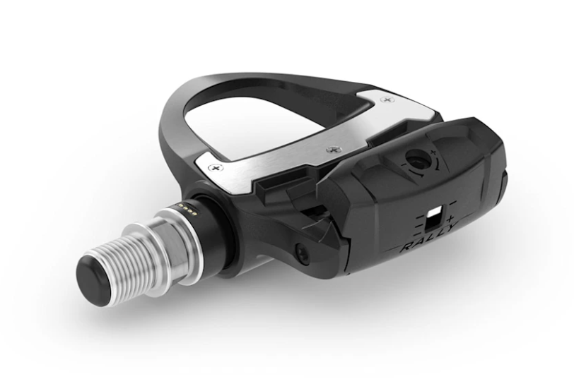 Garmin Rally™ RS210