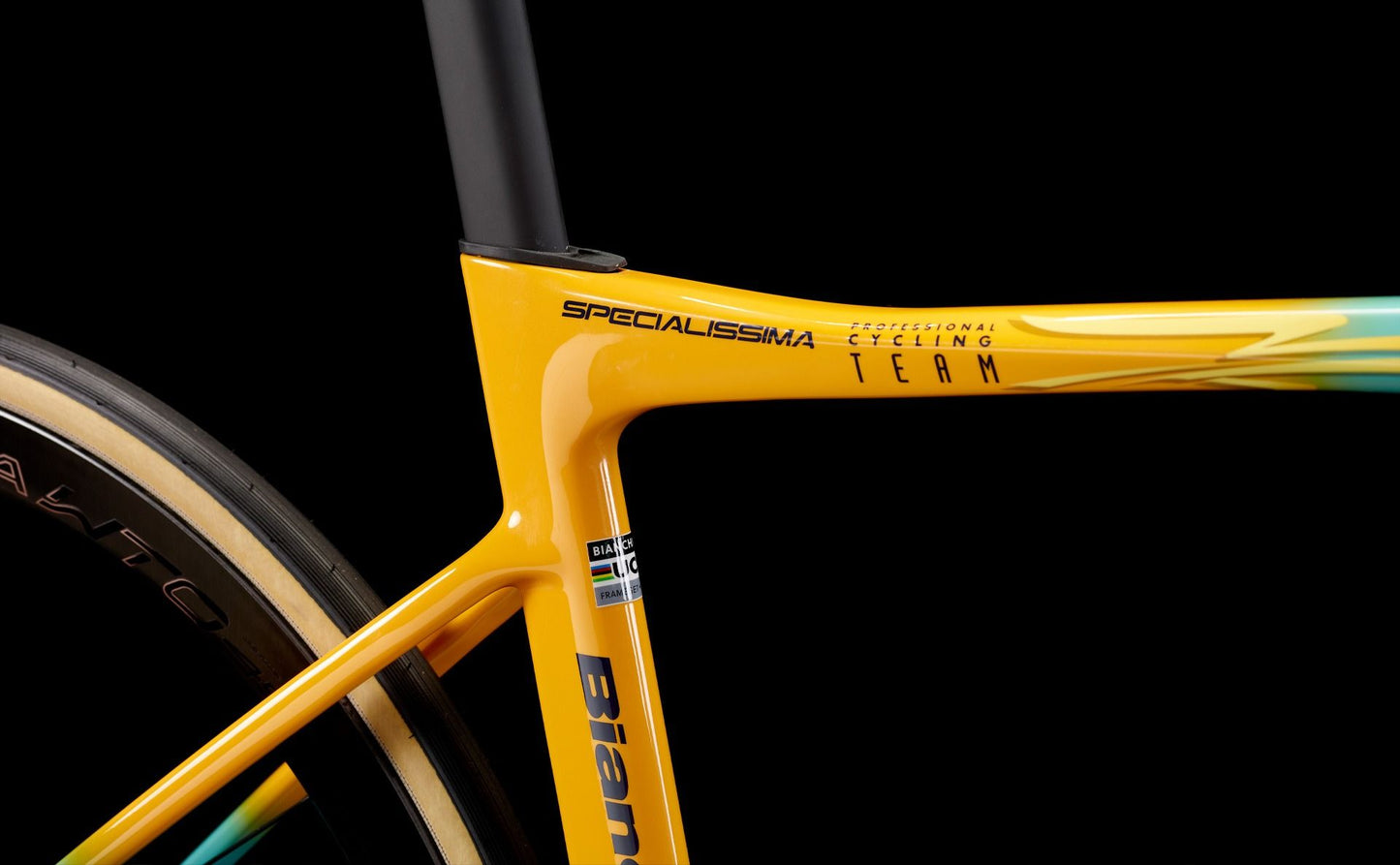 Bianchi Specialissima RC Pantani